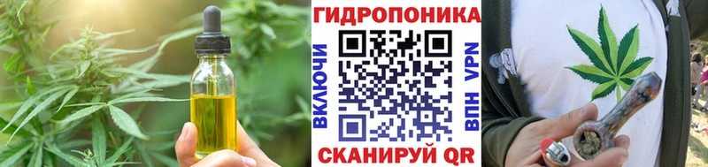 купить закладку  MEGA сайт  Canna-Cookies конопля  Зубцов 