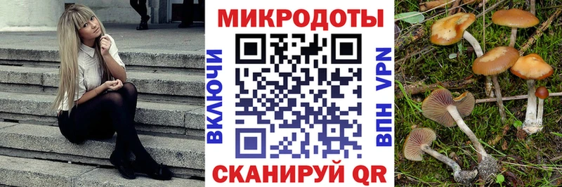Псилоцибиновые грибы мухоморы  MEGA tor  Зубцов  закладка 
